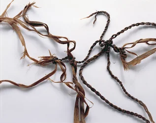 Net Probably Used to Catch Birds, Found with the Oetzi Iceman